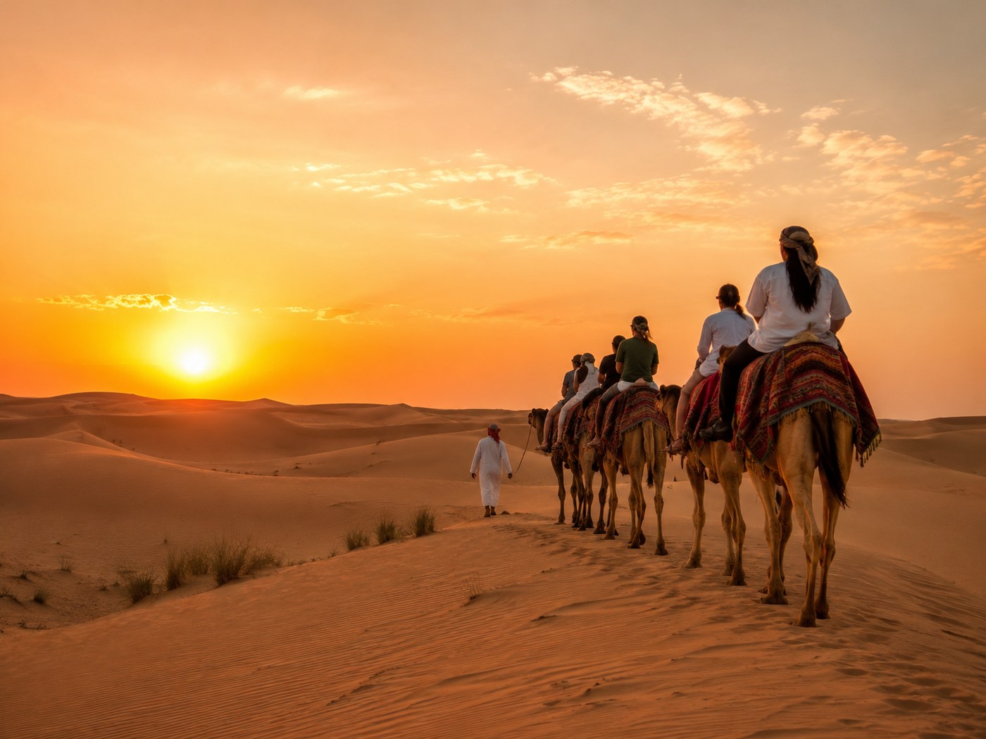 Camel caravan moving across desert dunes at sunset.